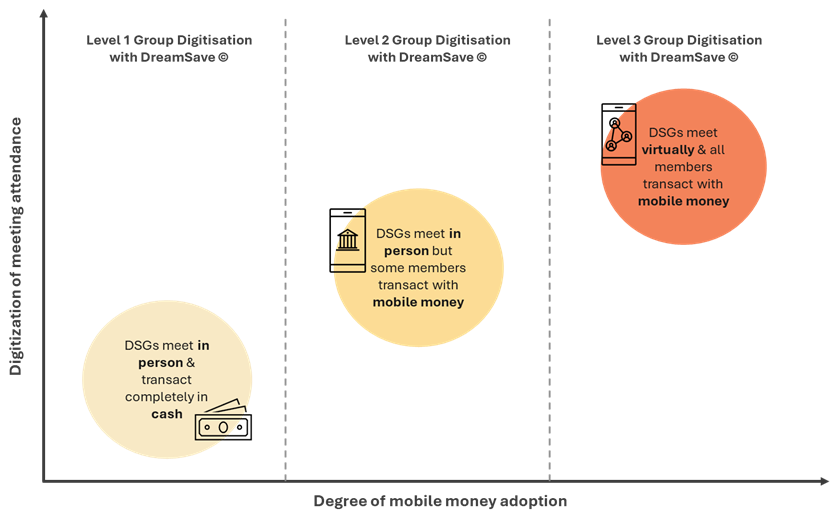 DSG Levels Diagram